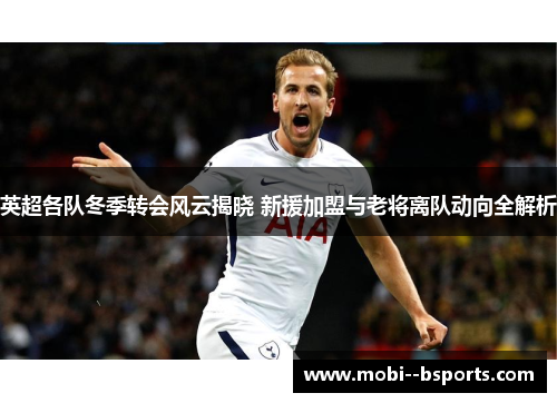 英超各队冬季转会风云揭晓 新援加盟与老将离队动向全解析 英超各队冬季转会风云揭晓 新援加盟与老将离队动向全解析