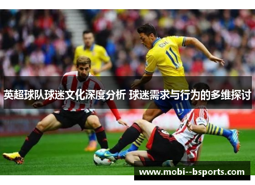 英超球队球迷文化深度分析 球迷需求与行为的多维探讨 英超球队球迷文化深度分析 球迷需求与行为的多维探讨