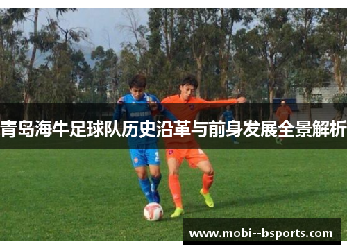 青岛海牛足球队历史沿革与前身发展全景解析